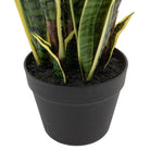 Potted Sansevieria Plant 4ft by Abode