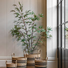 Potted Bamboo Tree 5ft by Abode