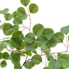 Potted Eucalyptus Tree by Abode