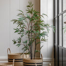 Potted Bamboo Tree 4ft by Abode
