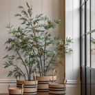 Potted Bamboo Tree 4ft by Abode