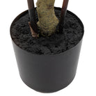 Potted Bamboo Tree 4ft by Abode