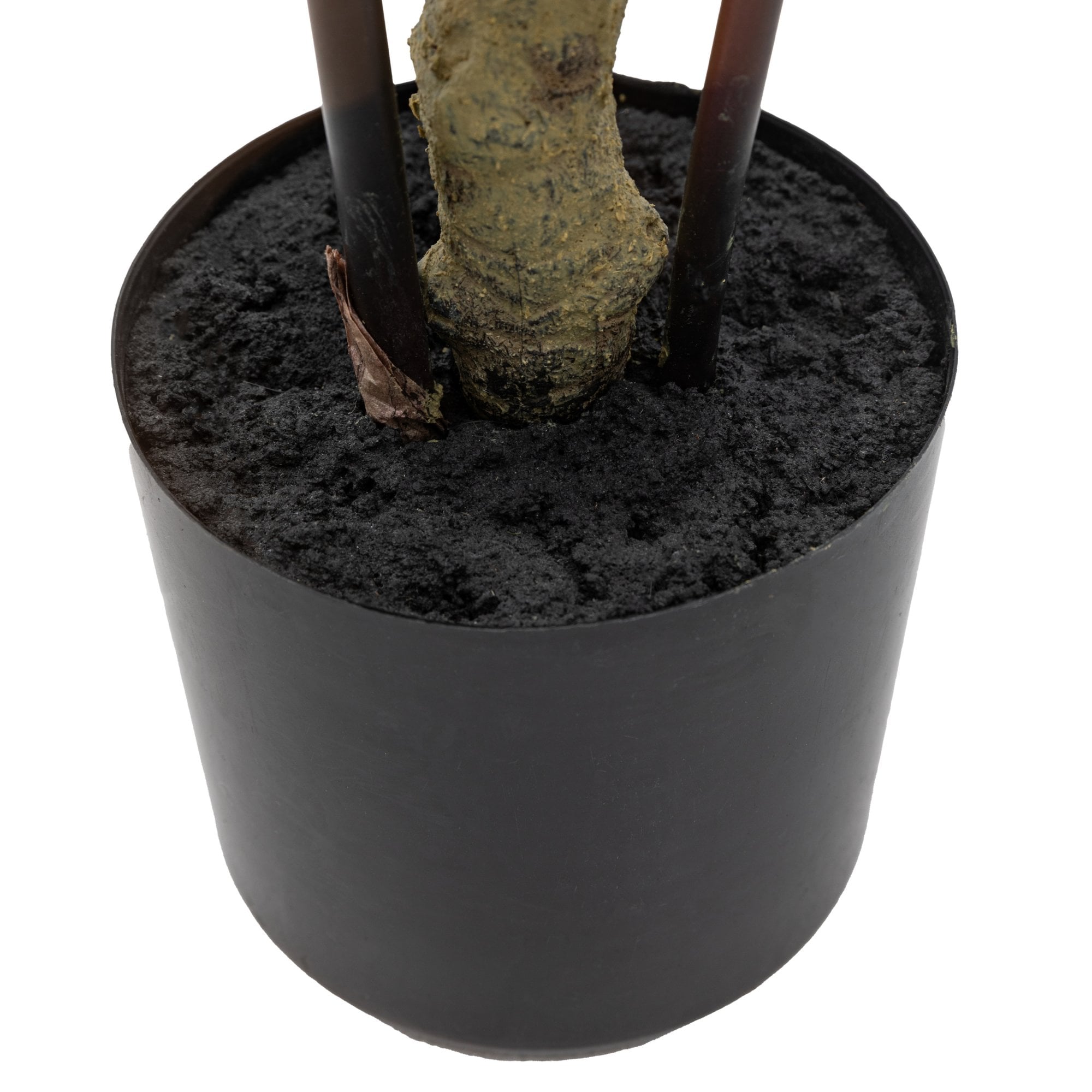 Potted Bamboo Tree 4ft by Abode