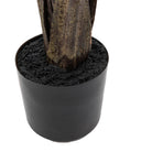 Potted Travellers Palm Tree 4ft by Abode