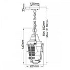 Chance Harbor Chain Lantern Ceiling Light by Quintiesse
