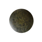 Terra Moss Orb Wall Art by Liang & Eimil