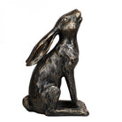 Harry Stargazing Hare by Libra Interiors