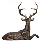 Ewan Regal Lying Down Stag by Libra Interiors