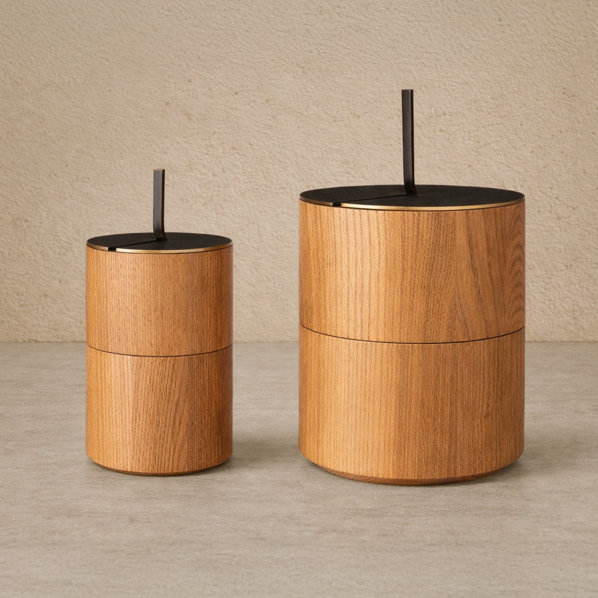 Savina Small Box - Brown Wood/Metal by Liang & Eimil