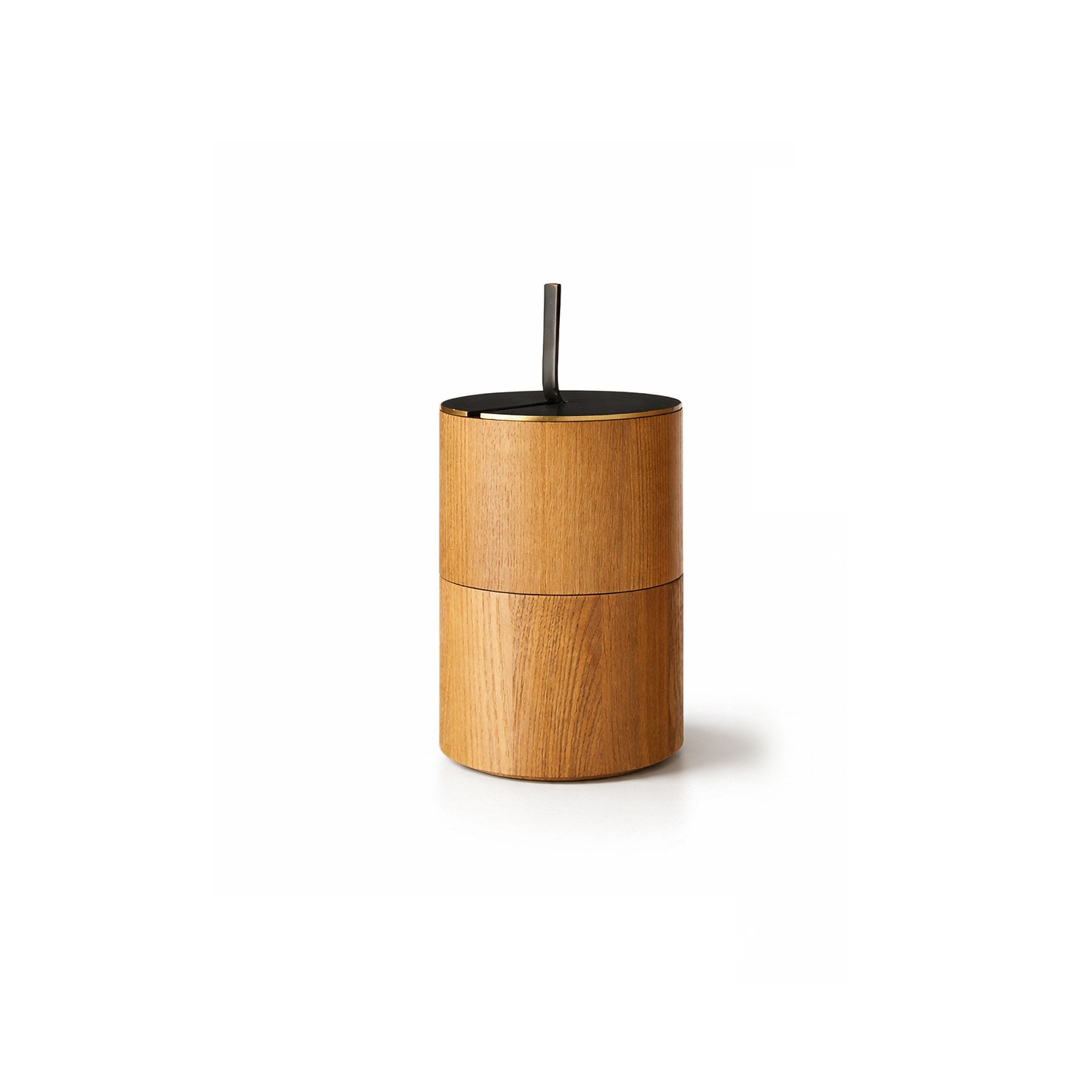 Savina Small Box - Brown Wood/Metal by Liang & Eimil