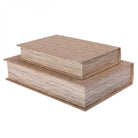 Beige Set of 2 Book Boxes by Libra Interiors