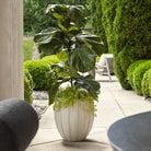Ridgehaven Textured Outdoor Planter by Uttermost