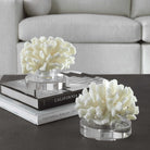 Hard Coral Sculptures - Set of 2 by Uttermost
