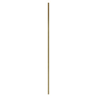Draven Champagne Gold Mirror by Richmond Interiors