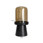 Meave Walnut Hurricane Light - Large by Richmond Interiors