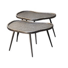 Bean Brunzae Coffee Table (Set of 2) by Richmond Interiors