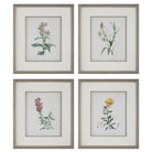 Heirloom Blooms Study Framed Prints - Set of 4 by Uttermost