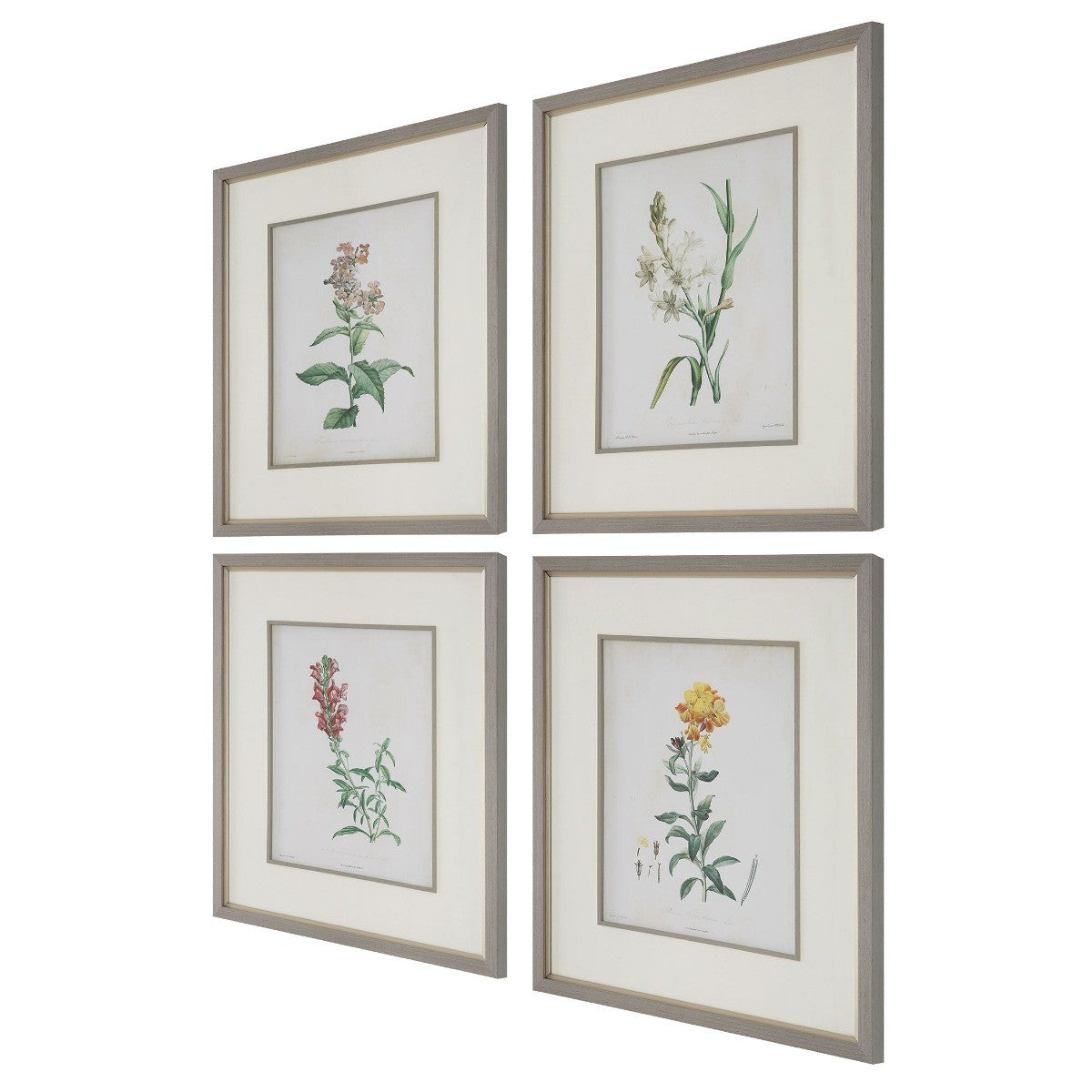 Heirloom Blooms Study Framed Prints - Set of 4 by Uttermost