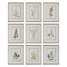 Botanical Flowers Framed Prints - Set of 9 by Uttermost