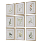 Botanical Flowers Framed Prints - Set of 9 by Uttermost