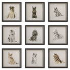Loyal Companion Framed Dog Prints - Set of 9 by Uttermost