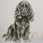 Loyal Companion Framed Dog Prints - Set of 9 by Uttermost