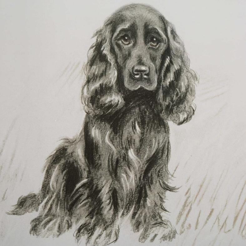 Loyal Companion Framed Dog Prints - Set of 9 by Uttermost