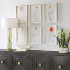 Wild Flourish Framed Prints Set of 6 by Uttermost