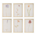 Wild Flourish Framed Prints Set of 6 by Uttermost