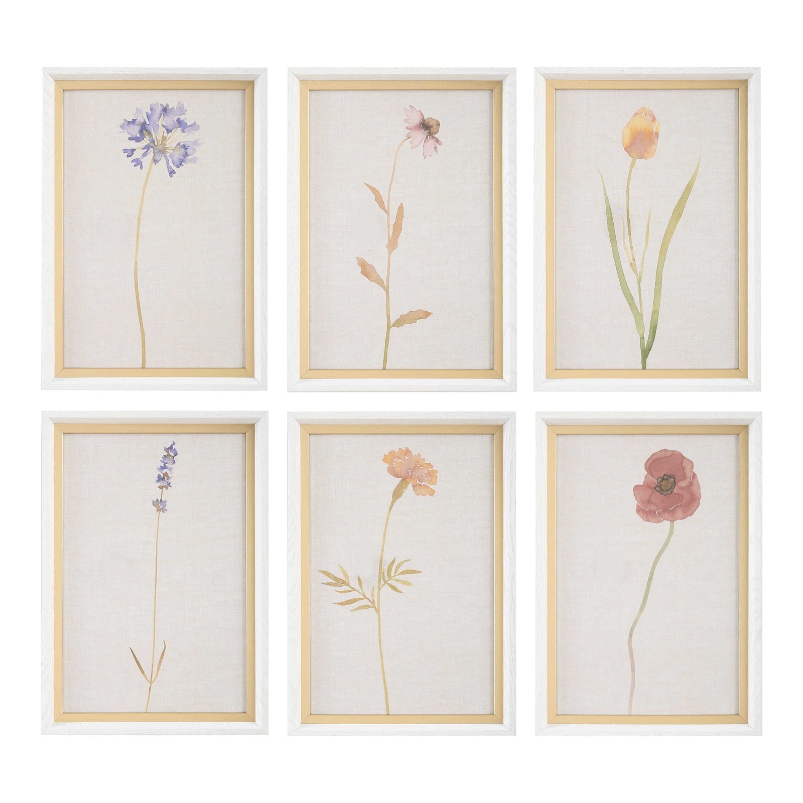 Wild Flourish Framed Prints Set of 6 by Uttermost
