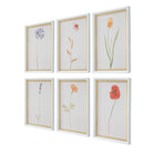 Wild Flourish Framed Prints Set of 6 by Uttermost