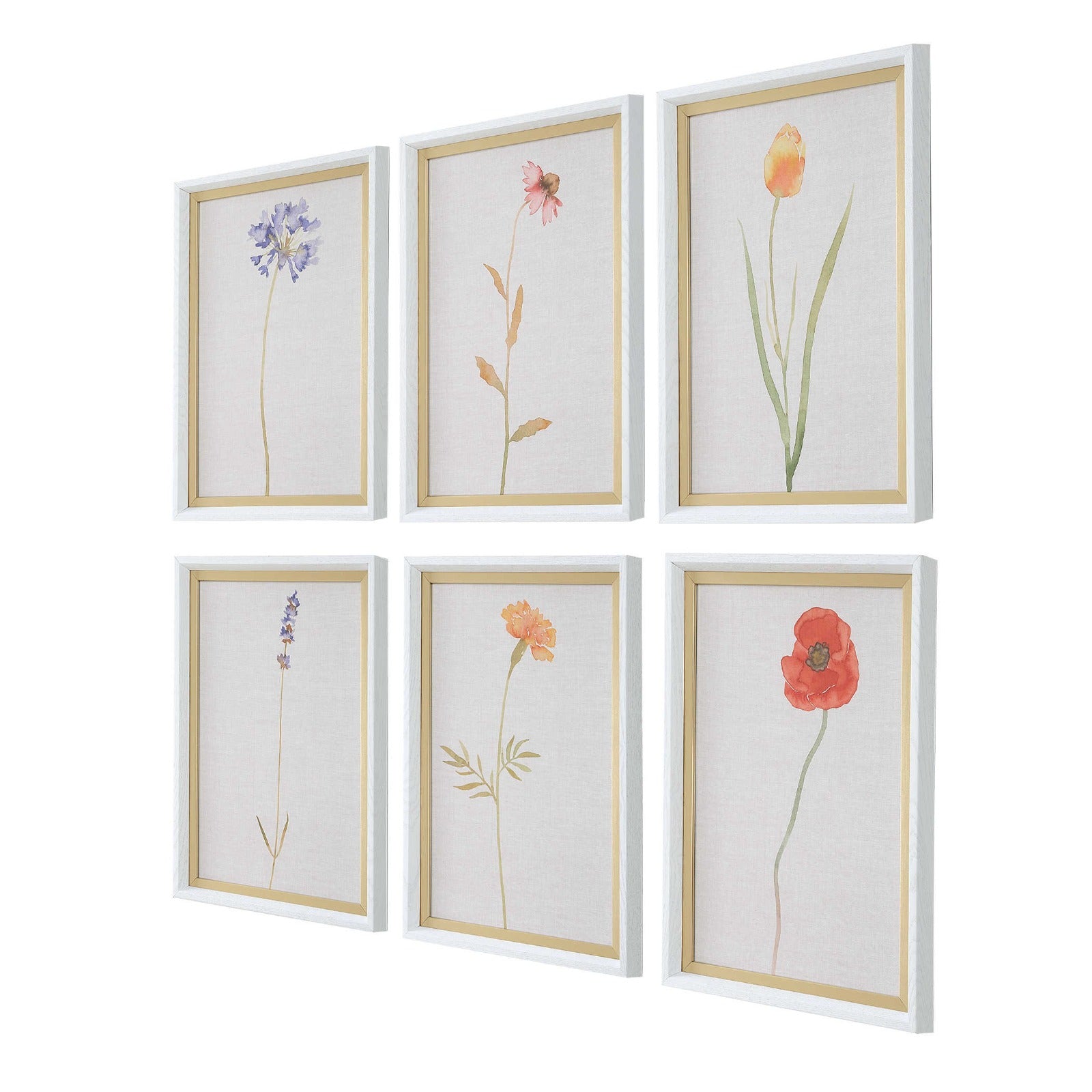 Wild Flourish Framed Prints Set of 6 by Uttermost