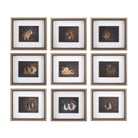 Resting Bunny Framed Prints Set of 9 by Uttermost