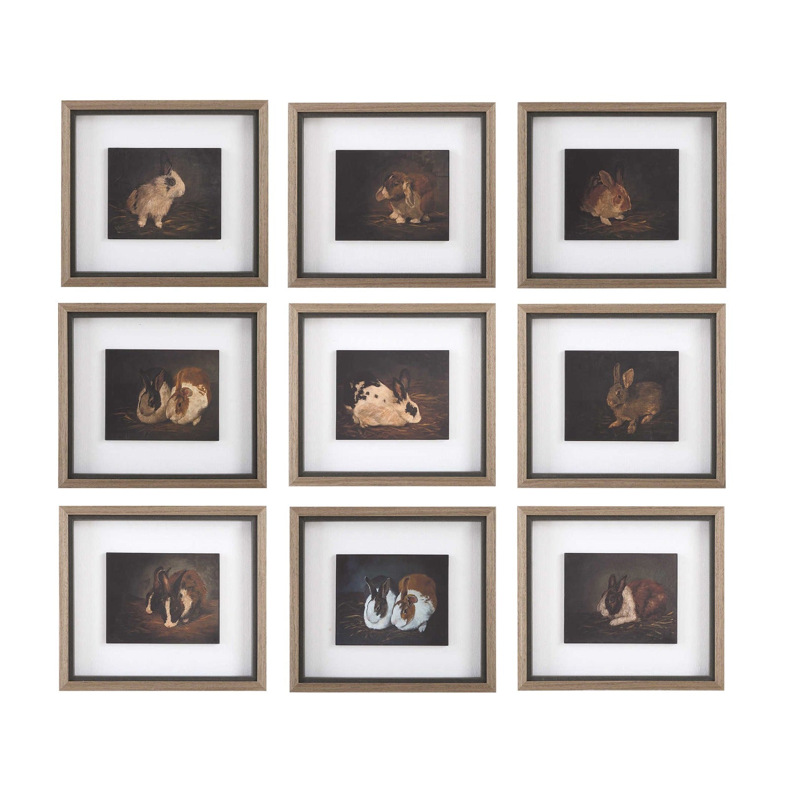 Resting Bunny Framed Prints Set of 9 by Uttermost