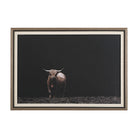 King of the Hill Highland Cow Photography Print by Uttermost