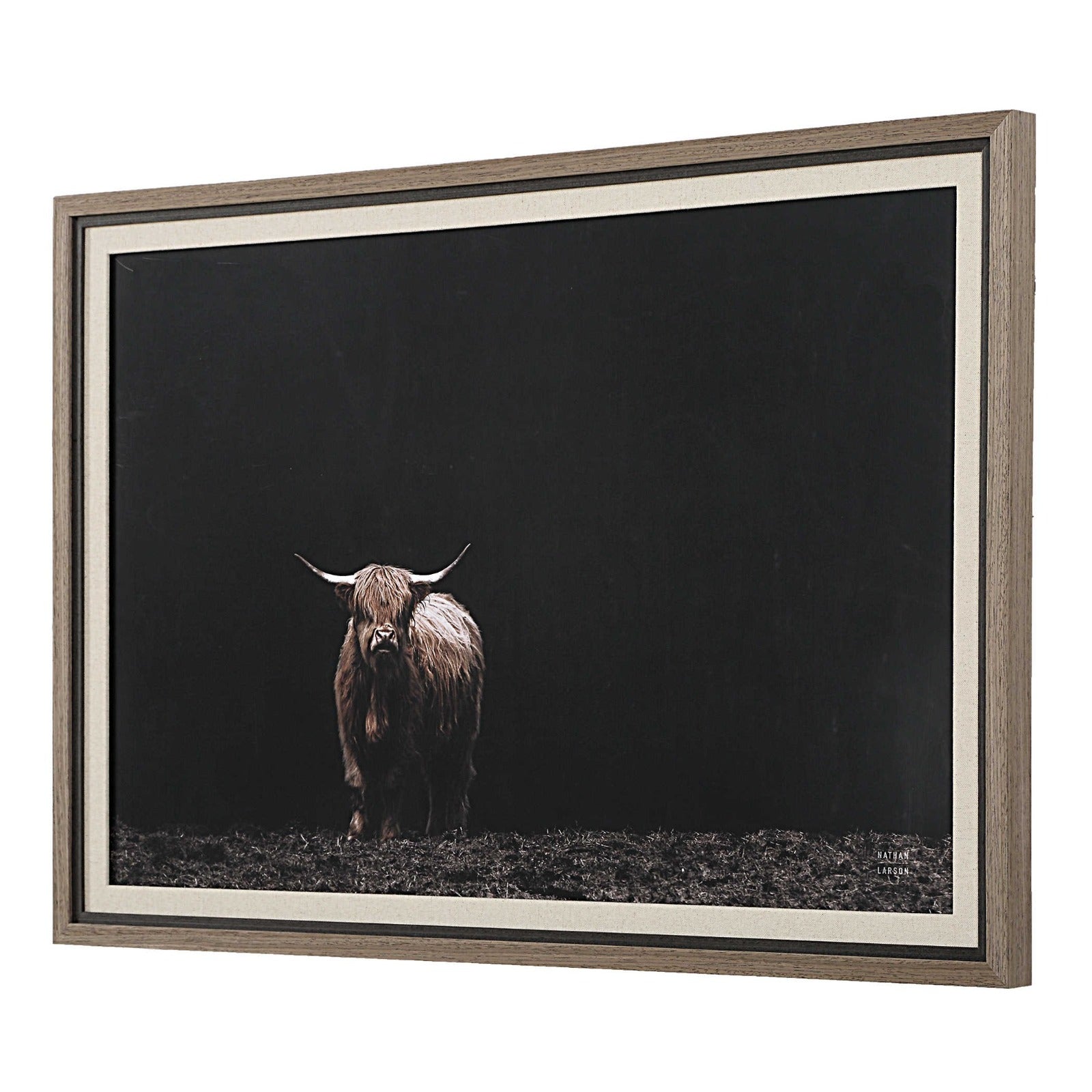 King of the Hill Highland Cow Photography Print by Uttermost