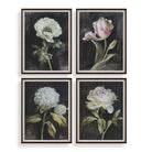 Florals On Black Framed Prints - Set of 4 by Uttermost