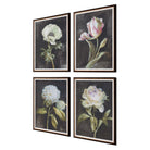 Florals On Black Framed Prints - Set of 4 by Uttermost
