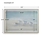 Tranquil Shorebirds On The Sand Framed Print by Uttermost