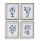 Shibori Coral Framed Prints - Set of 4 by Uttermost