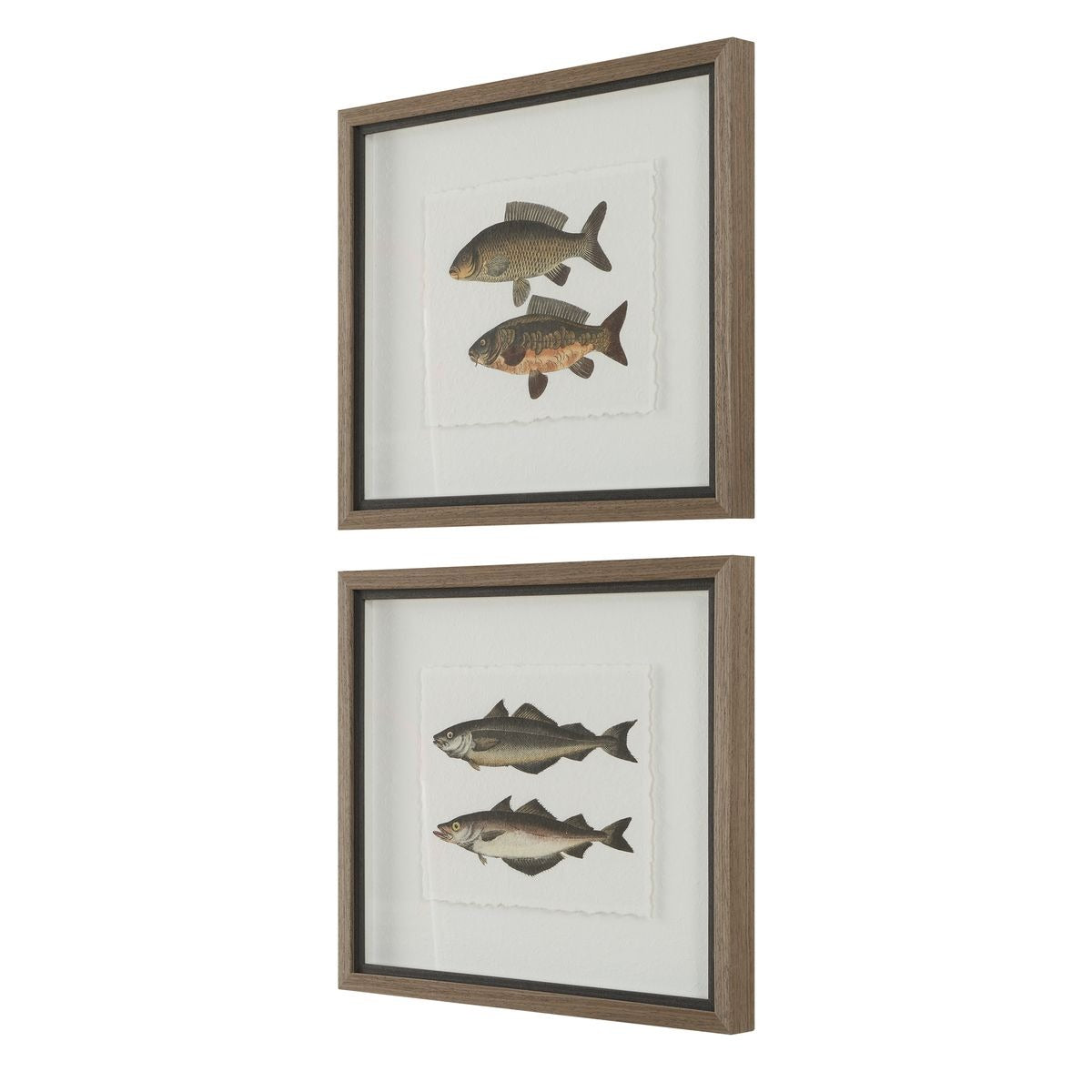 The Catch Framed Fish Prints Set of 2 by Uttermost