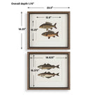 The Catch Framed Fish Prints Set of 2 by Uttermost