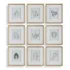 Nature's Script Framed Botanical Prints Set of 9 by Uttermost