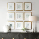 Nature's Script Framed Botanical Prints Set of 9 by Uttermost