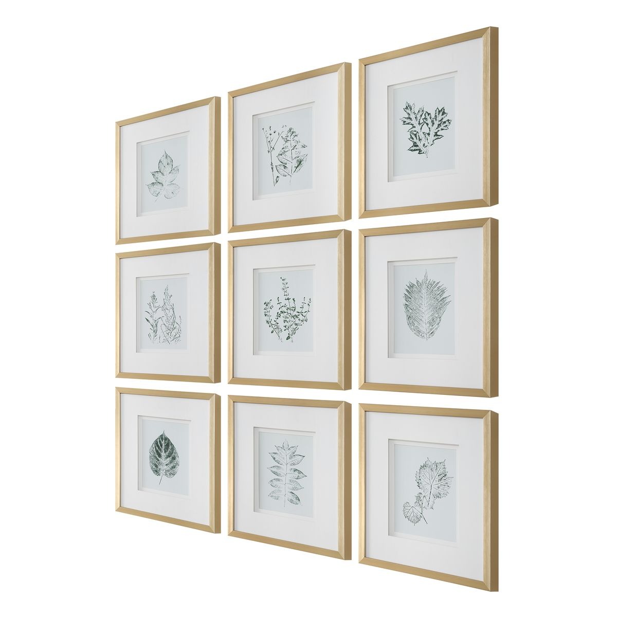 Nature's Script Framed Botanical Prints Set of 9 by Uttermost