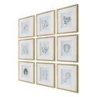 Nature's Script Framed Botanical Prints Set of 9 by Uttermost