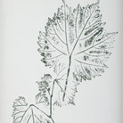 Nature's Script Framed Botanical Prints Set of 9 by Uttermost