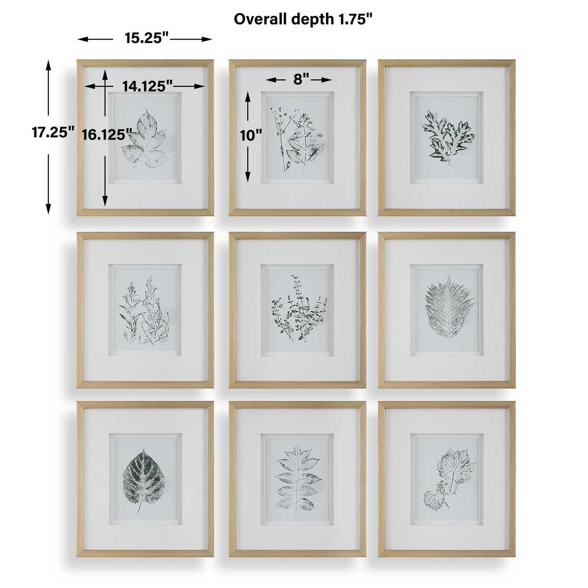 Nature's Script Framed Botanical Prints Set of 9 by Uttermost