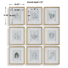 Nature's Script Framed Botanical Prints Set of 9 by Uttermost