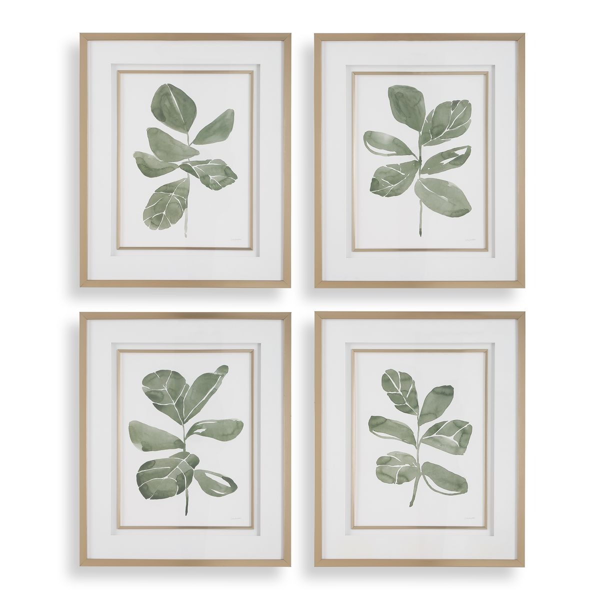 Fiddle Head Leaf Botanical Prints Set of 4 by Uttermost
